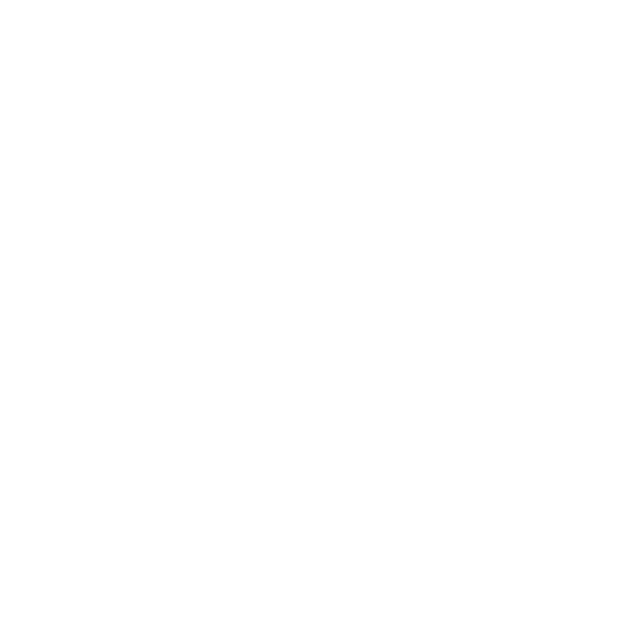 Northdale Nighthawks Soccer logo